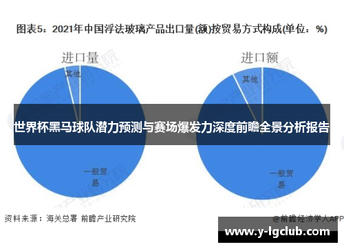 世界杯黑马球队潜力预测与赛场爆发力深度前瞻全景分析报告